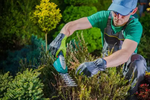 landscaping services Bancroft